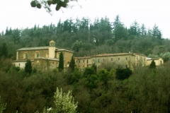 Das Kloster von Sargiano ist von Wäldern umgeben