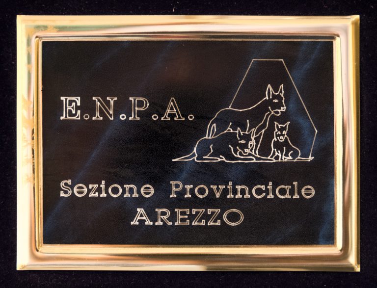 ENPA-Auszeichnung 2000 für das Zentrum des Menschen