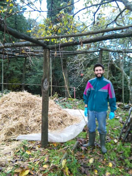 Landwirtschaft in Sargiano (Arezzo)